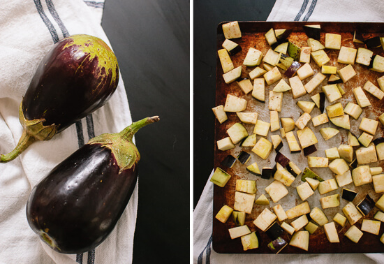 eggplant