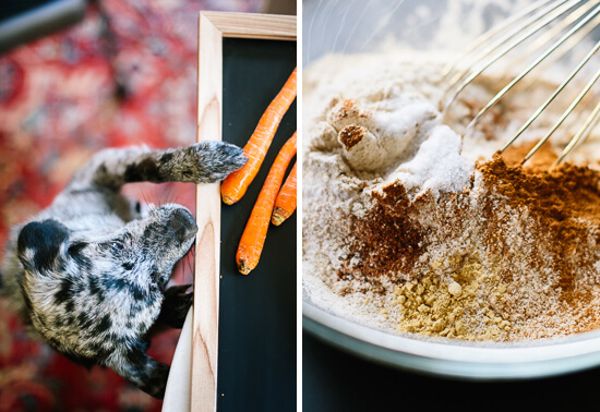 carrot muffin spices