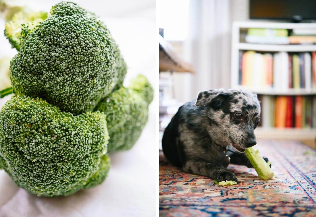 broccoli