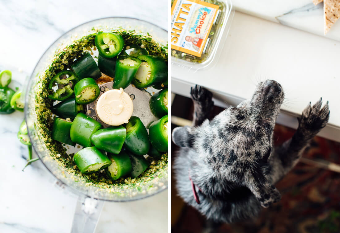 jalapeno peppers